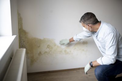 Attic Mold Remediation in Jupiter, FL