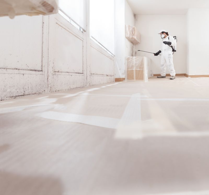 Attic Mold Remediation in Essex County, NJ