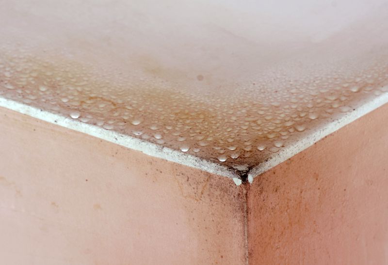 Basement Mold Remediation in Essex County, NJ