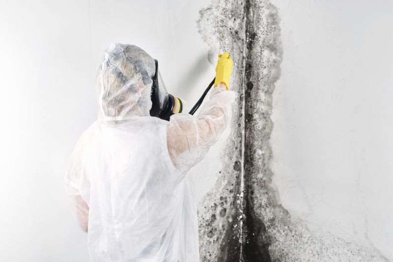 Basement Mold Removal in Fort Lauderdale, FL