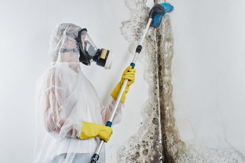 Basement Mold Removal in Frisco, TX