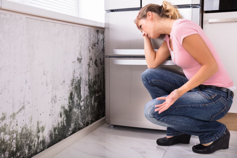 Black Mold Removal in Fort Worth, TX