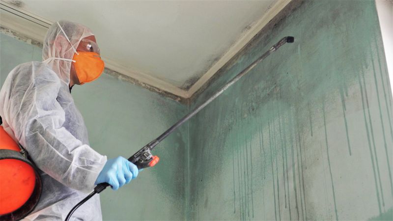 Crawlspace Mold Remediation in Frisco, TX