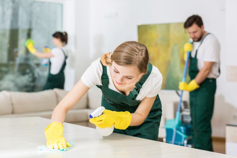 Kitchen Cleaning in Renton, WA