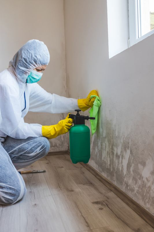 Mold Abatement Service in Bergen County, NJ
