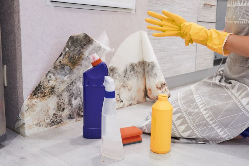 Mold Abatement Service in Fort Worth, TX