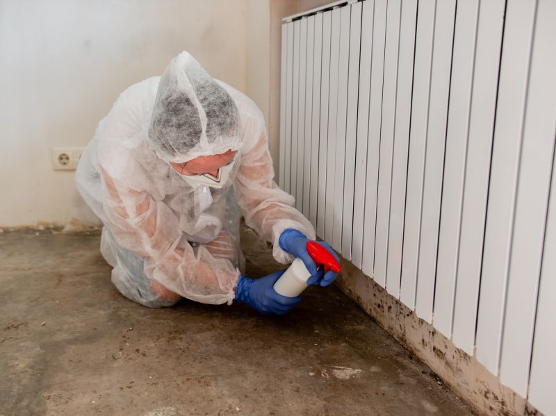 Mold Mitigation Service in Boca Raton, FL