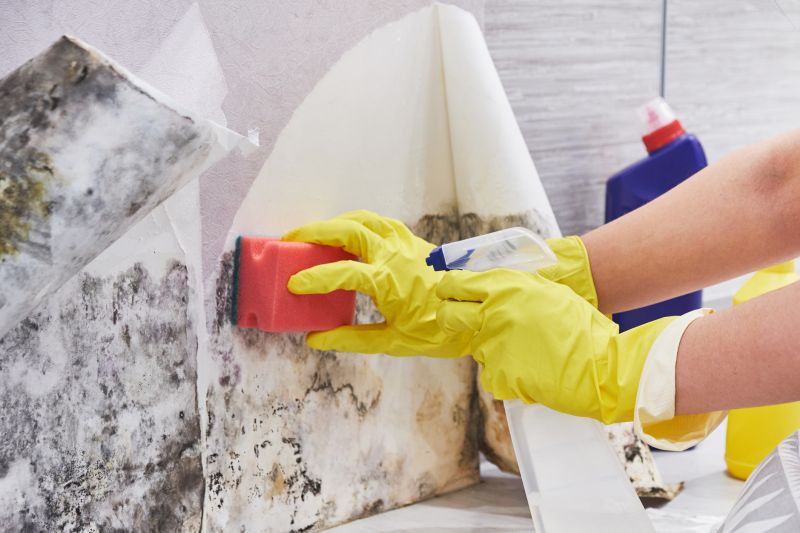 Mold Remediation Service in Bergen County, NJ