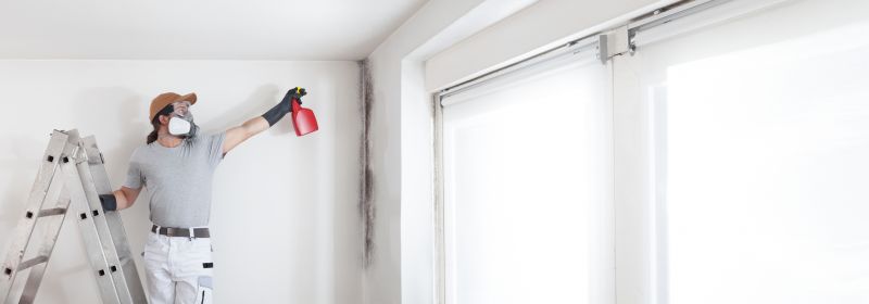 Mold Remediation Service in Fort Lauderdale, FL
