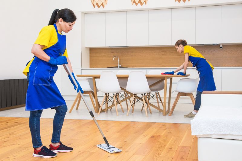Move In Cleaning Service in Frisco, TX