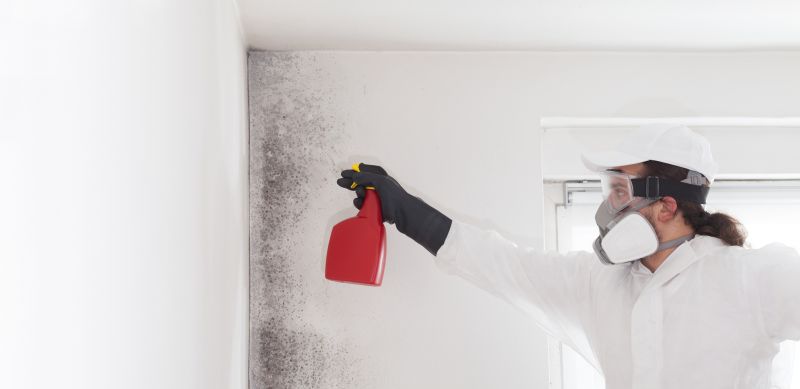 Crawlspace Mold Remediation in West Palm Beach, FL