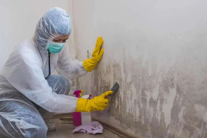 Garage Mold Remediation in Fort Lauderdale, FL