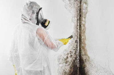 Mold Cleanup Service in Bergen County, NJ